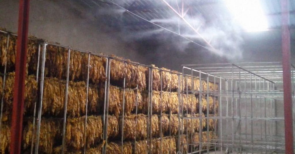 harley-humidikool-featured-image-tobacco-industry