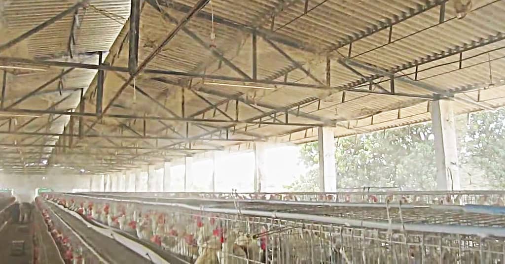 harley-envirokool-odour-control-equine-poultry-industry
